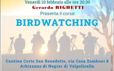 10 febbraio 2023 ore 20.30 – Gerardo presenta BIRDWATCHING